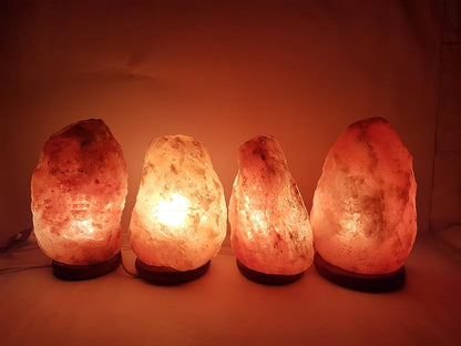 Himalayan Crystal Rock Salt Lamp 3-5kg